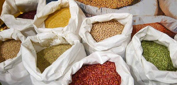 实皆省实皆县区今年雨季完成各种豆类4万多英亩的种植工作