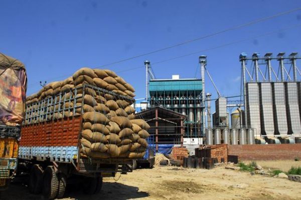 由大其力口岸向泰国出口咖啡豆及烟草作物