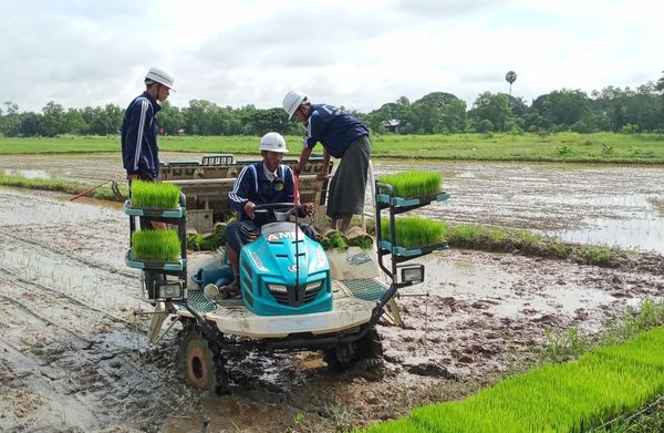 实皆省甘布鲁县区举行稻谷种植示范研习会活动