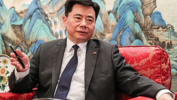 中国大使：这是“病”，得好好治一治