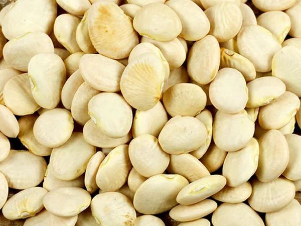 新财政年度第一季度缅甸出口黄油豆1,400多万美元