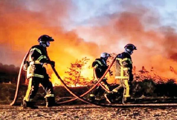 今年8月份内北半球多处地区发生山林大火