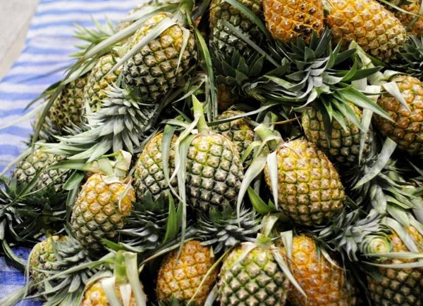 克钦邦密支那县区凤梨水果大量上市