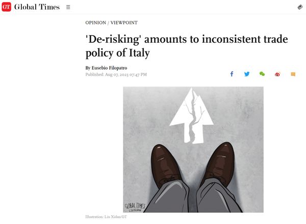 “他们想不惜代价破坏意中经济合作”