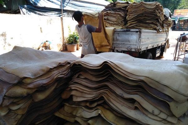 今年7月份缅甸出口1万多吨橡胶获得1,300万美元的收入