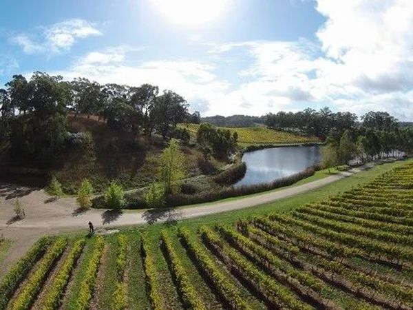 他也来中国了，“目的是说服中方取消……”