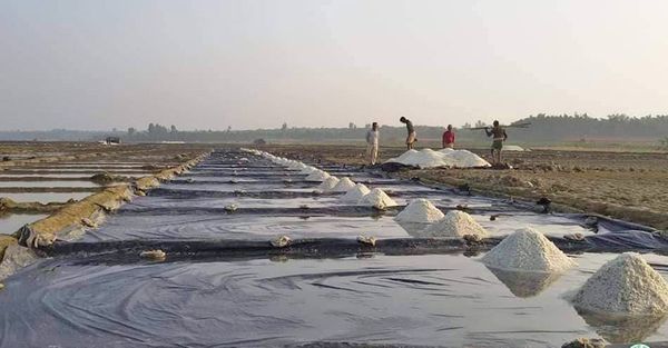 孟邦盐市场上存货减少交易热络因而获得了好价钱