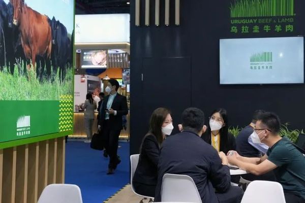 最新！这国与中国重新谈判出口协议