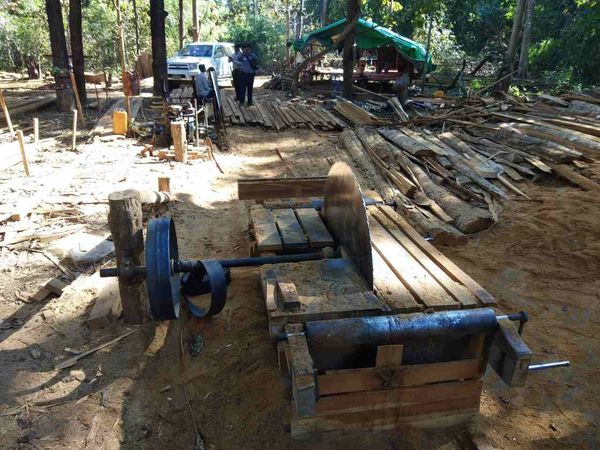 马奎省内今年增加了锯木厂34家