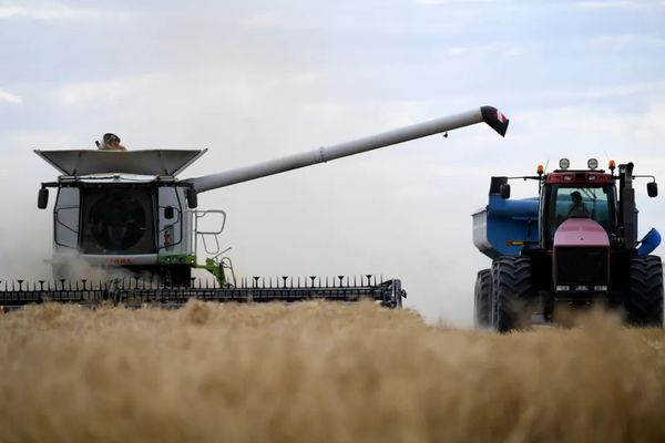 “离不开中国”，澳当局三项秘密研究曝光