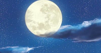 癸卯中秋（蔡義山）