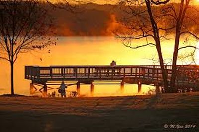 【临江仙：独旅寒秋】（海哲）