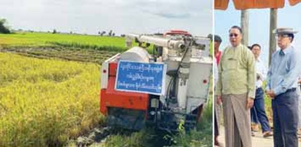 勃固省对遭水淹的农田为减少损失采用农机进行抢收工作