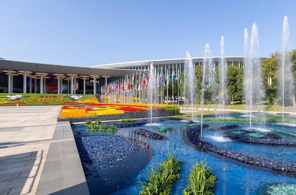 政要云集，各国为何如此重视本次进博会？