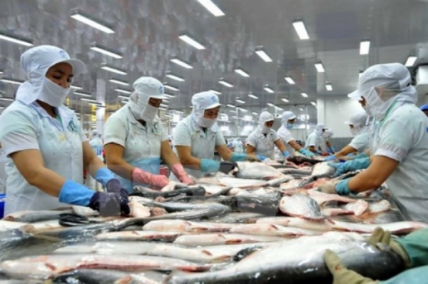 缅甸每年出口鱼类水产品等获得7亿美元的收入