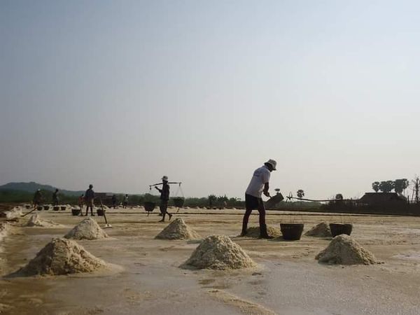 今年制盐季节孟邦盐生产情况