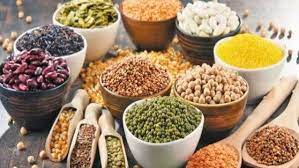 德林达依省区丹老县区4个村庄将种植冬作物豆类500英亩