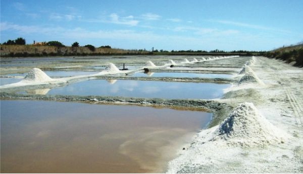 今年产盐季节孟邦气候良好盐产量也良好盐价稳定