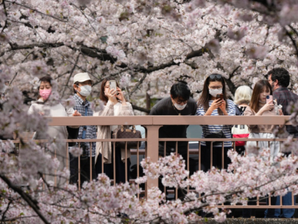 进入日本国家的游客人数已达到新高峰