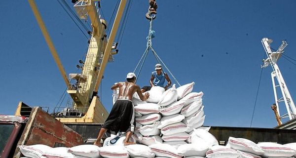 缅甸大米出口量比去年同期减少50%