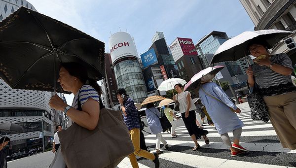 日本国家在目前初冬季节中遭到高温的凌虐  