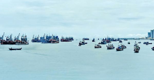 德林达依省丹老及高栋专区11月份向泰国出口水产品4千多吨