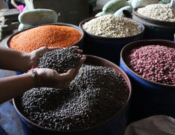 印度政府将对缅甸各种豆类的自由进口期限延长一年