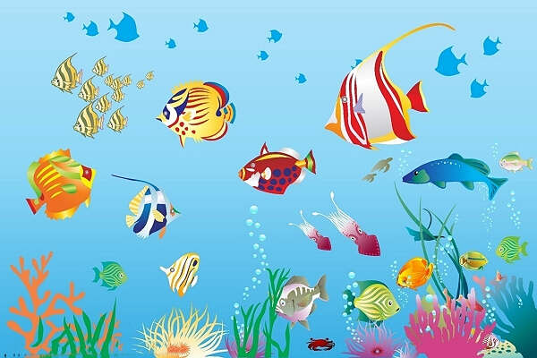 《我的小鱼儿》（许诗琪）