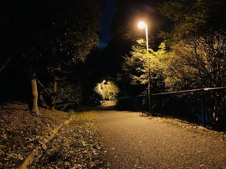 《勇敢的步伐：第一次独自走夜路》（杨家典）