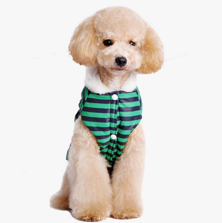 《小狗布丁》（ 黄静怡）