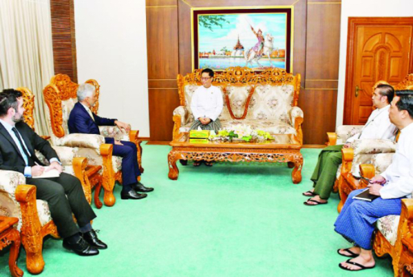 缅甸外交部副部长会见巴西大使