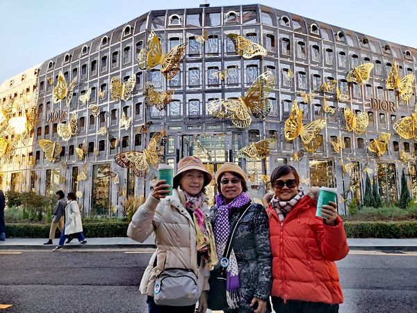 惜琼花‧韩国一行  (舒云)