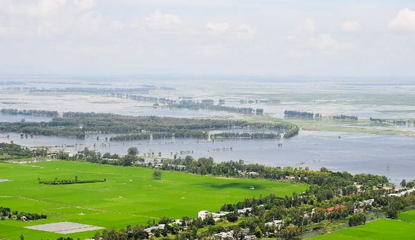 因海水入侵越南湄公河三角洲农业行业损失达到28.2亿美元