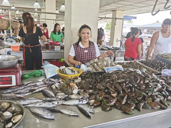 环球时报实地调查菲律宾“武装渔民”计划