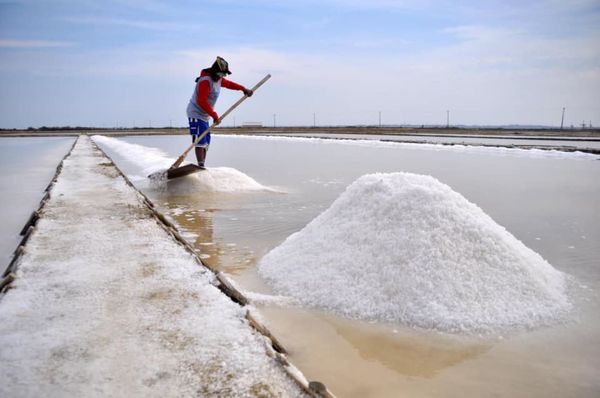 伊洛瓦底省纳不打县区3月份向仰光市场输送日晒盐4.5万缅斤