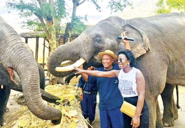 曼德勒省娃纳大象营地在泼水节期间欢迎游客们前来游览