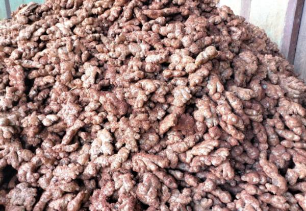 物以稀为贵导致缅甸生姜价钱上涨