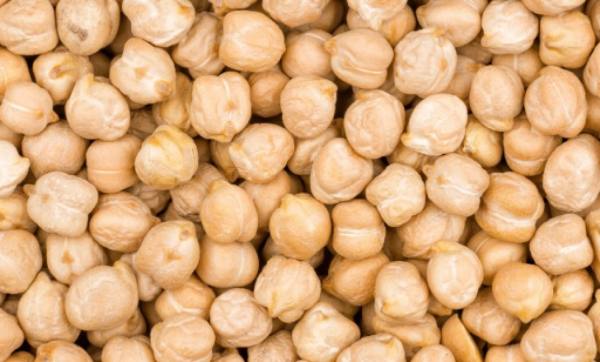 实皆省淡色县区完成了冬作物鹰嘴豆25,997英亩的采收工作