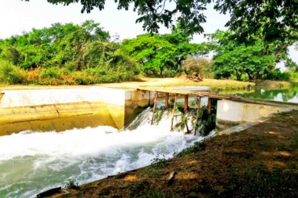 马奎省本漂县区应用梅塞丽分水渠的水源扩大种植夏芝麻