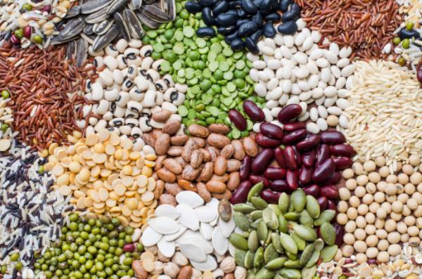 2023—24财政年度缅甸向国外出口豆类获得14亿多美元的收入