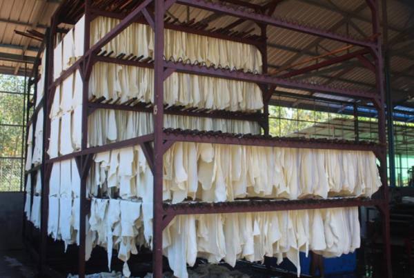 2023—24财政年度缅甸向国外出口了橡胶10多万吨