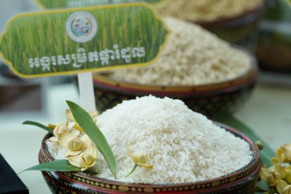 柬埔寨国家今年头四个月出口大米获得1.7亿美元的收入