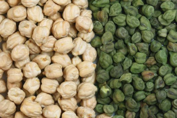 伊洛瓦底省耶基县区完成冬作物鹰嘴豆3千多英亩的种植工作