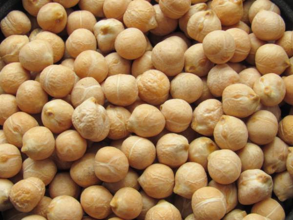 实皆省敏牧县区已完成冬作物鹰嘴豆1.4万多英亩的采收工作