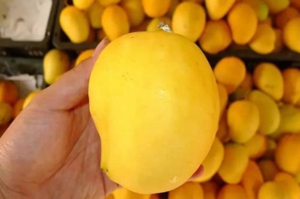 2024年4月伊洛瓦底省吉叻县区向仰光市场输送出芒果37万粒