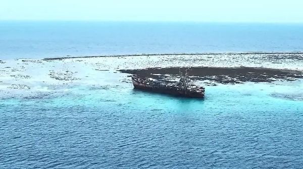 中方代表称不会在台海动用核武？外交部回应