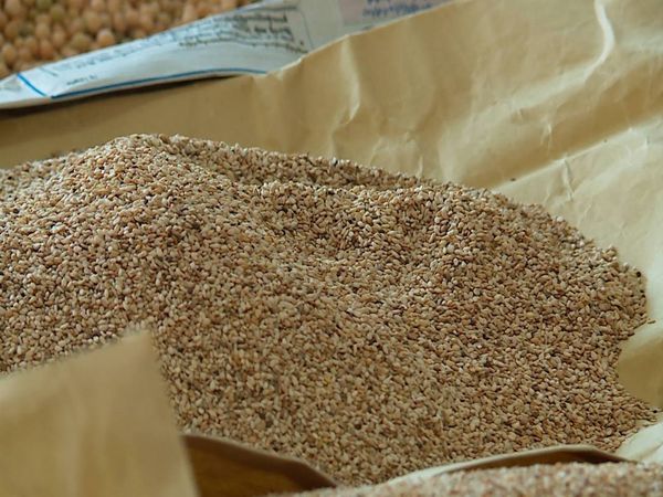 日本白芝麻在国外需求量大在曼德勒市场上交易十分热络