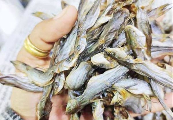 孟邦吉坎眉地区所产担丁鱼干出口泰国