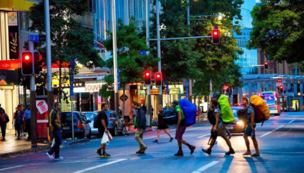 南半球上的新西兰国家人口增加到将近534万人