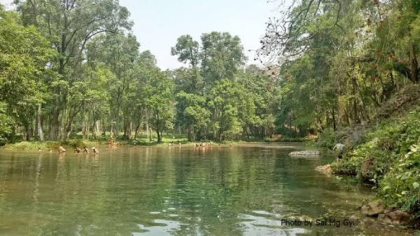 对自然环境与生物们起着良好作用的红树林